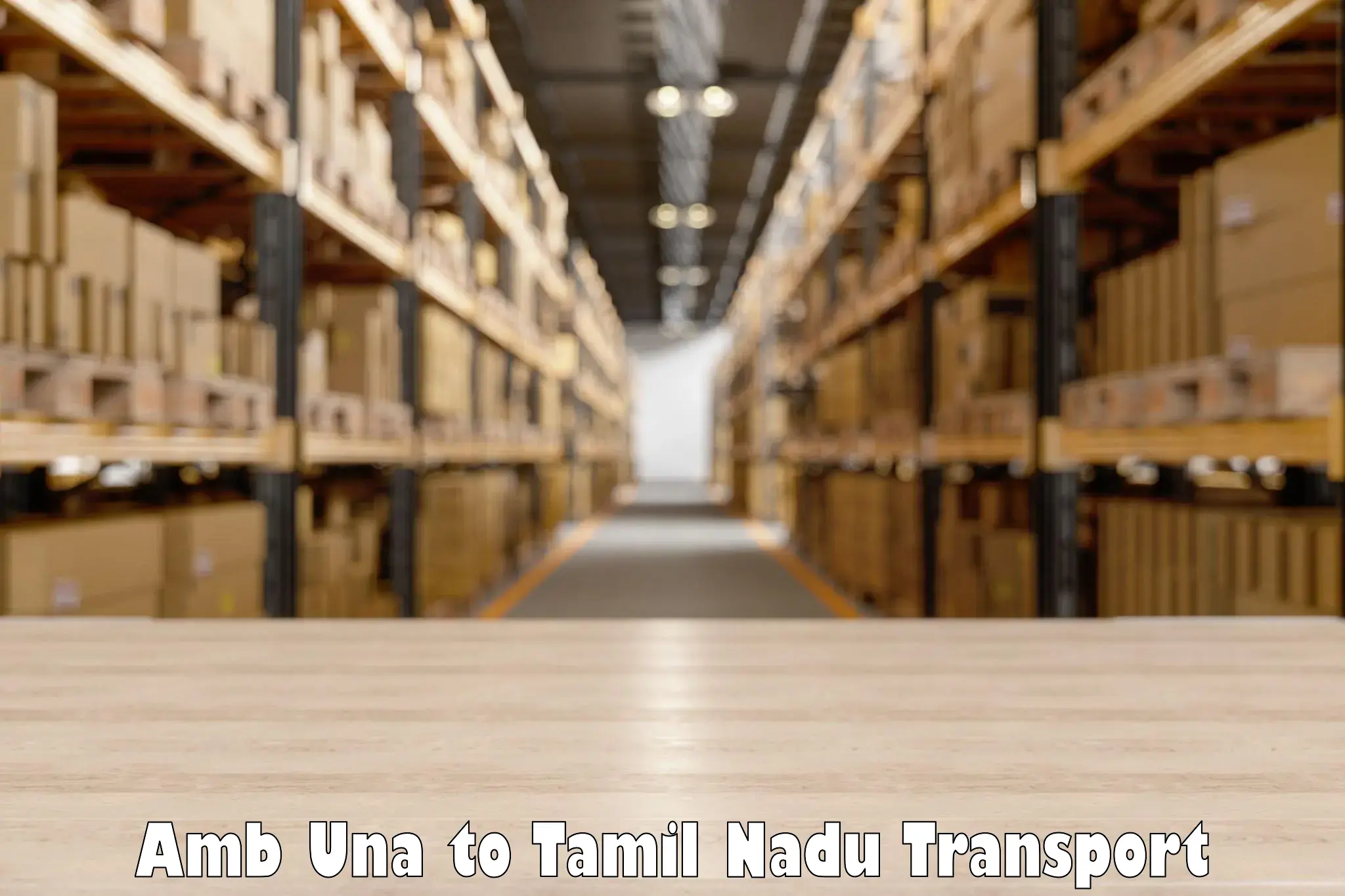 Two wheeler parcel service Amb Una to Tiruvannamalai