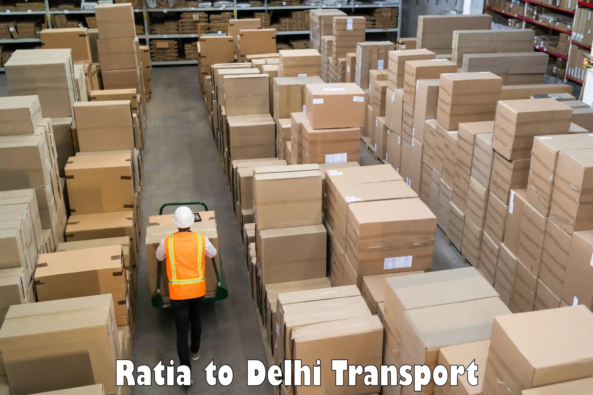 Part load transport service in India Ratia to Delhi