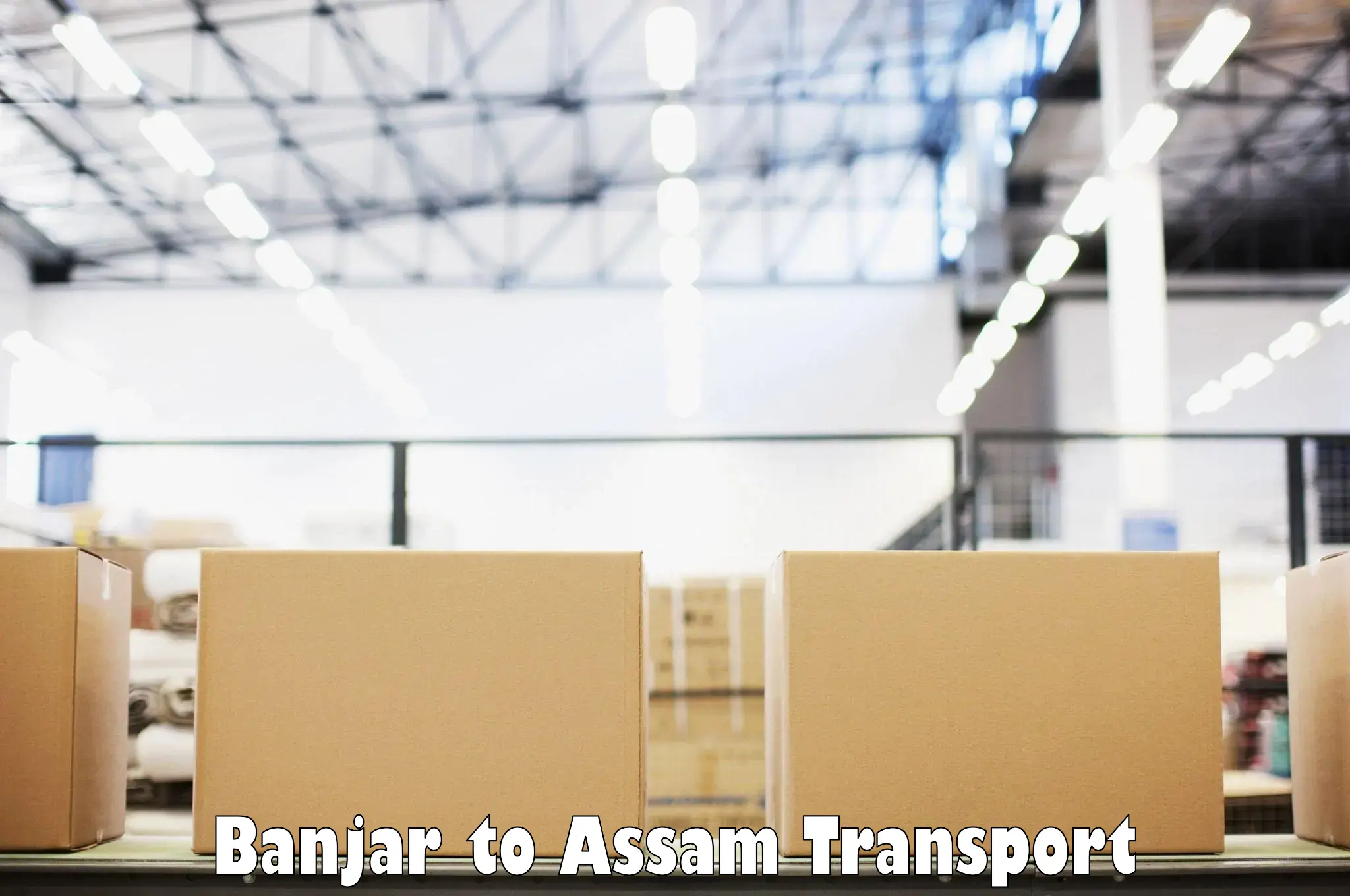 Material transport services Banjar to Assam University Silchar