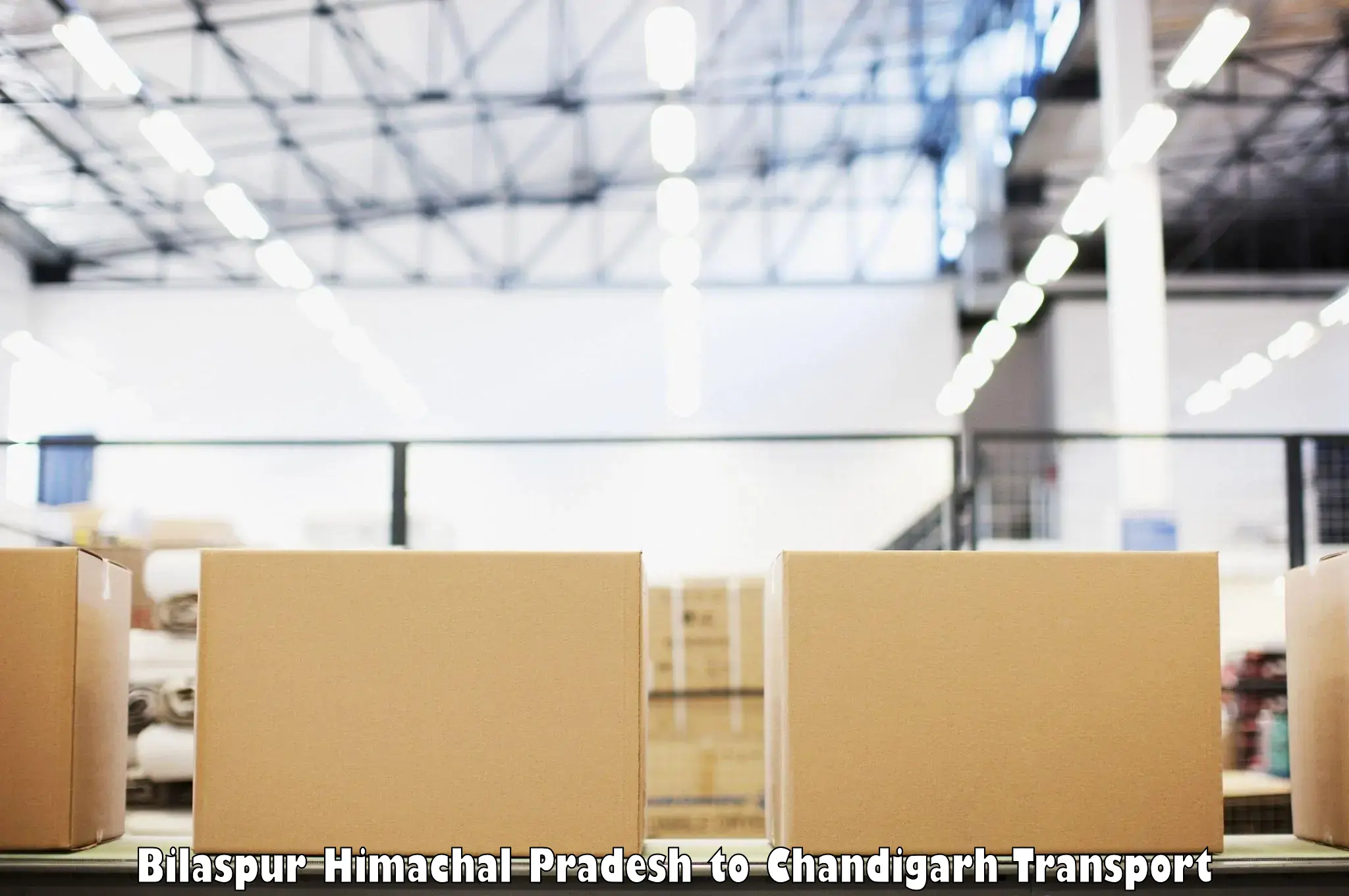 Parcel transport services Bilaspur Himachal Pradesh to Panjab University Chandigarh