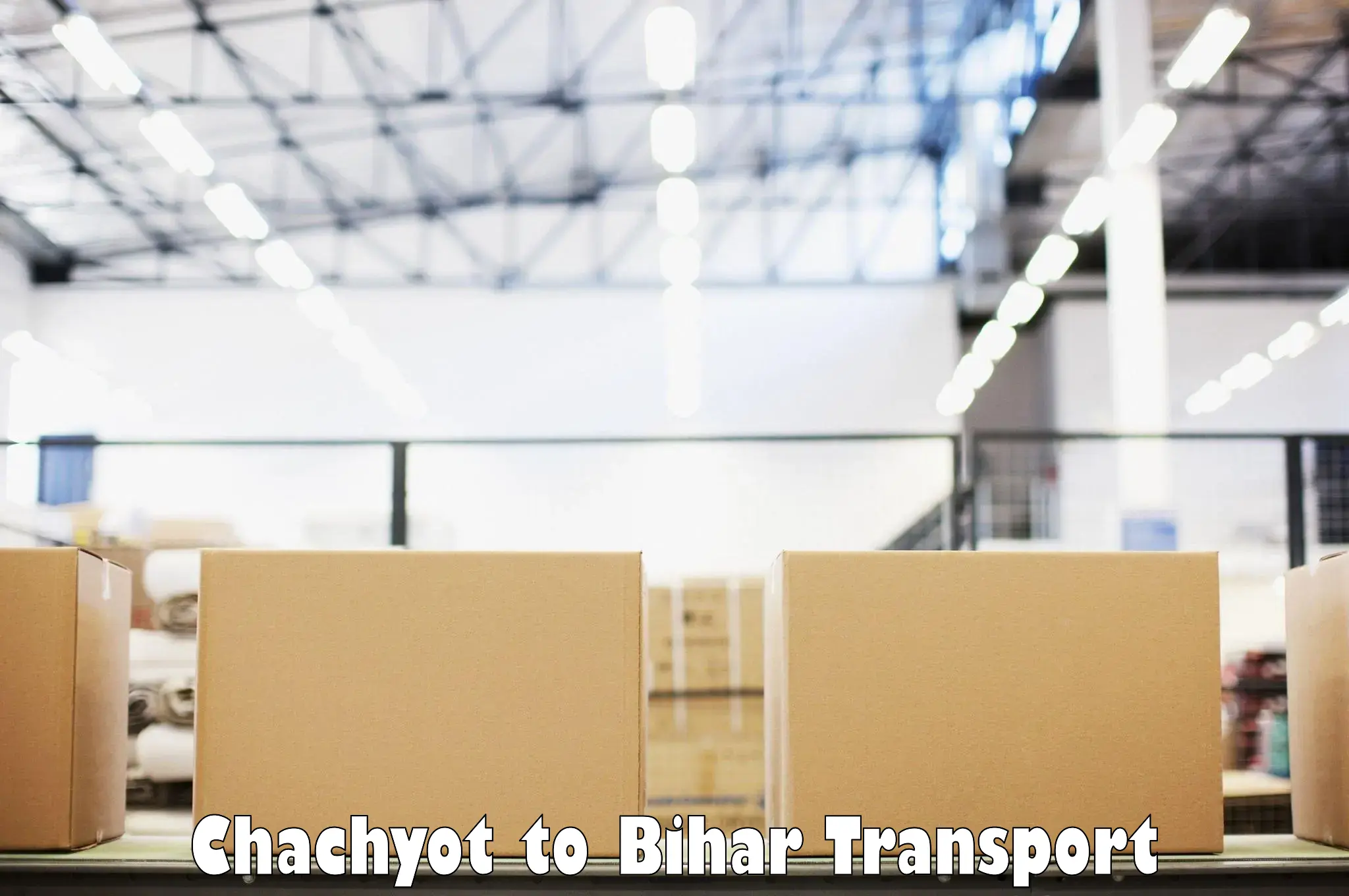 International cargo transportation services Chachyot to Sasaram